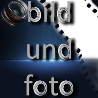 Dieses Bild zeigt das Logo des Unternehmens bild und foto 